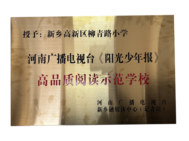 图片15