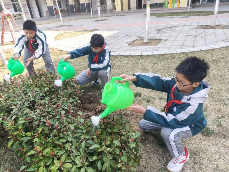 “红领巾”添绿   把春天“栽”进童心 —— 柳青路小学开展“红领巾植绿记”主题实践系列活动