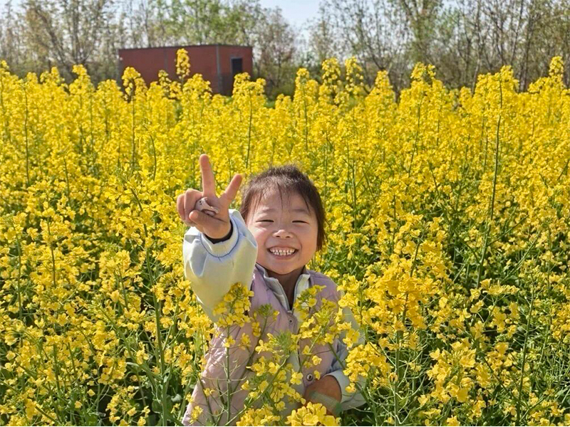 寻春忆古承传统    童心寄情润书香 —— 柳青路小学“我们的节日・清明”系列活动